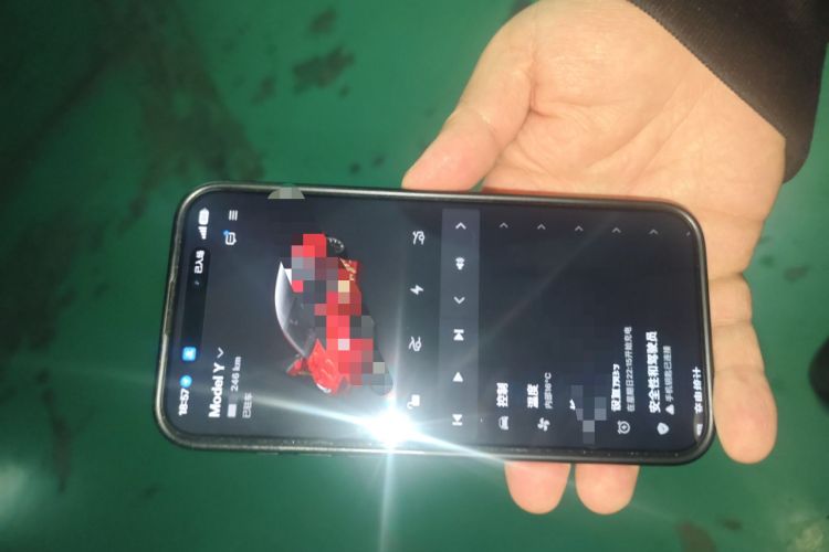 Used Tesla Model Y 2021 Standard Range Rear-Wheel Drive Version
