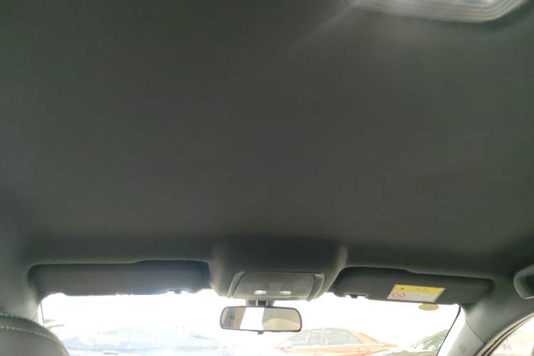 Used BYD Qin PLUS  Headliner
