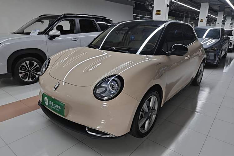 Used ORA Good Cat 2023 401 km Standard Range Luxury Version Lithium Iron Phosphate