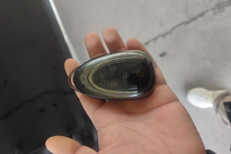 Used Wey Gaoshan 2023 Four-Wheel-Drive Executive Extended Version Interior 1