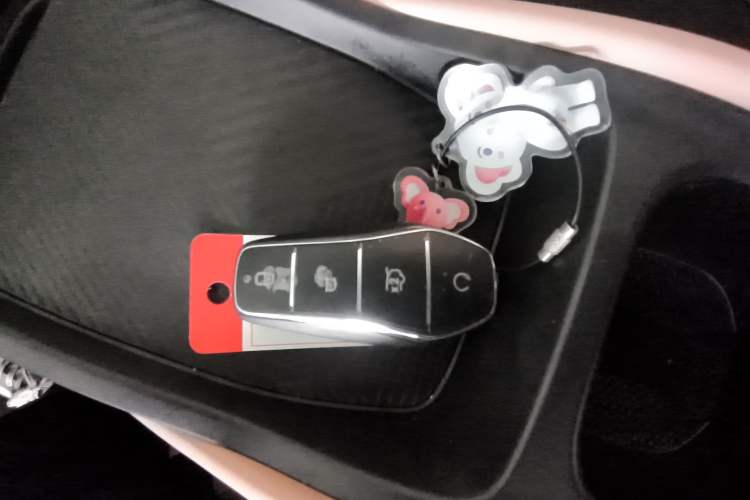 Used BYD Seagull 2024 Honor Edition 305km Dynamic Version