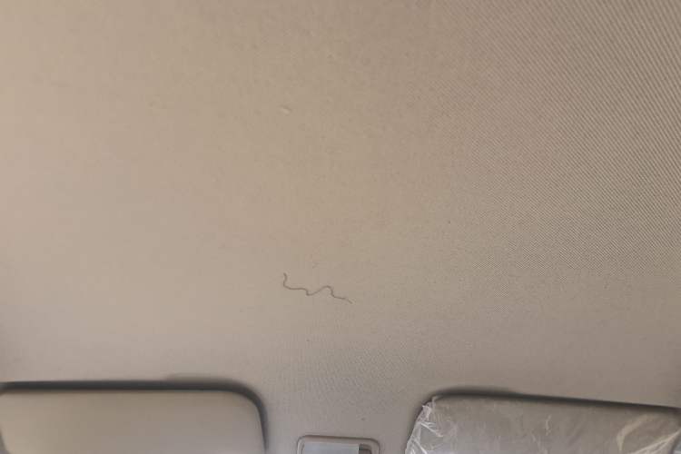 Used Wuling Hongguang V 2022 1.5L Jingqu Version Hydraulic Power Steering LAR Headliner