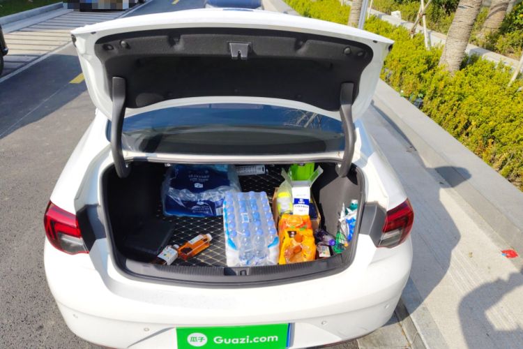 Used Buick Regal 2019 20T Elite Version China VI Standard