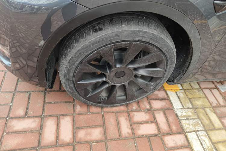 Used Tesla Model Y 2021 Long-Range All-Wheel-Drive Version