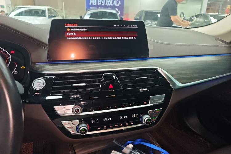 Used BMW 5 Series 2020 530Li Leading Edition Luxury Package