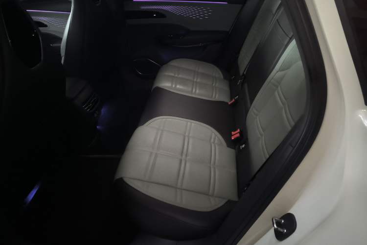 Used Hongqi EH7 2024 820 Pro
