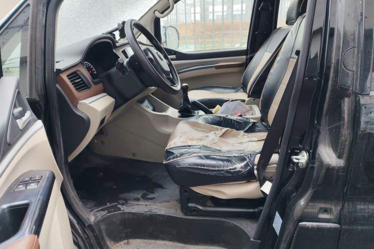 Used FORTHING Lingzhi 2020 M5 1.6L Practical Model
