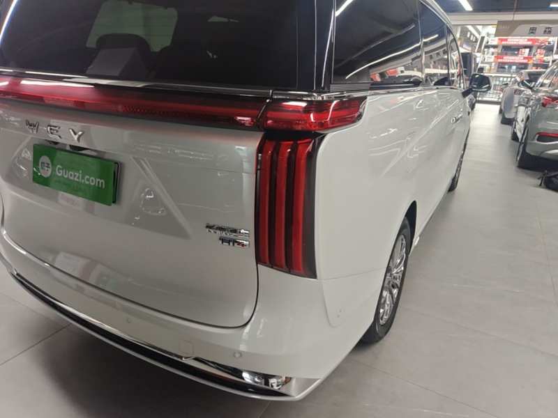 Used Wey Gaoshan 2025 Four-Wheel Drive Alpine 8 — 7