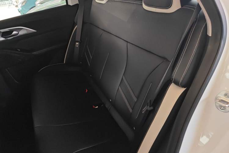 Used Geometry E Firefly 2022 401KM Lightning Tiger 4-Seater