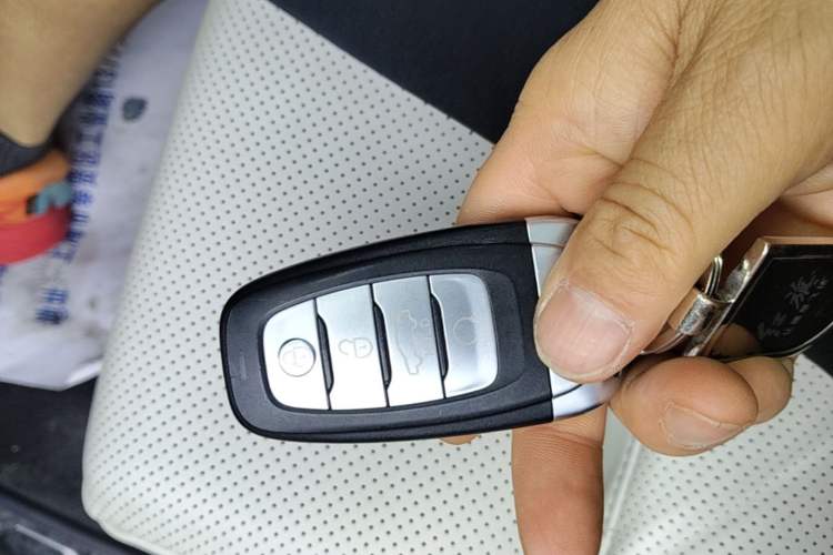 Used Hongqi E-HS9 2021 510 km Flagship Edition Four Seats
