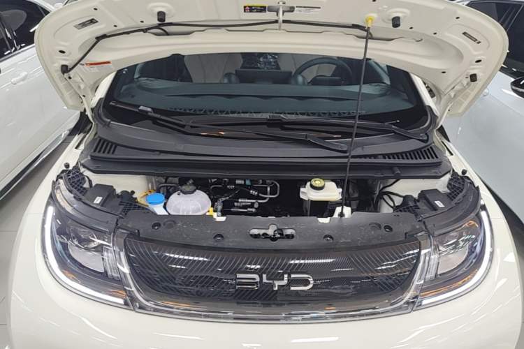 Used BYD Dolphin 2025 420km Free Edition