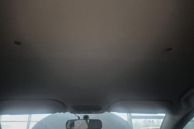 Used SOL E10X 2022 Flower Fairy Style Baby's Breath