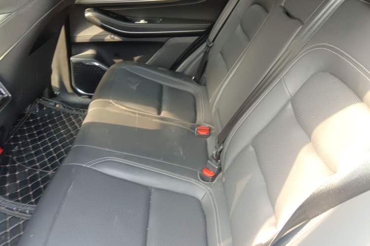 Used EXEED Zhuifeng 2022 Versailles Edition 1.6T DCT Wind-Blown Version Left Rear Seat