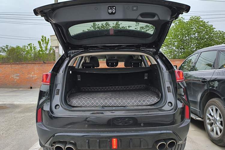 Used Wey P8 2018 2.0T Flagship Model