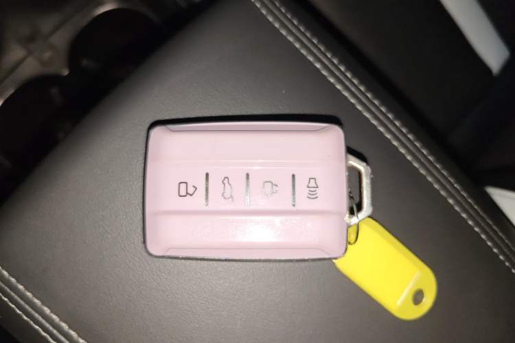 Used Tank 300 2021 City Edition 2.0T—Truly Stylish
