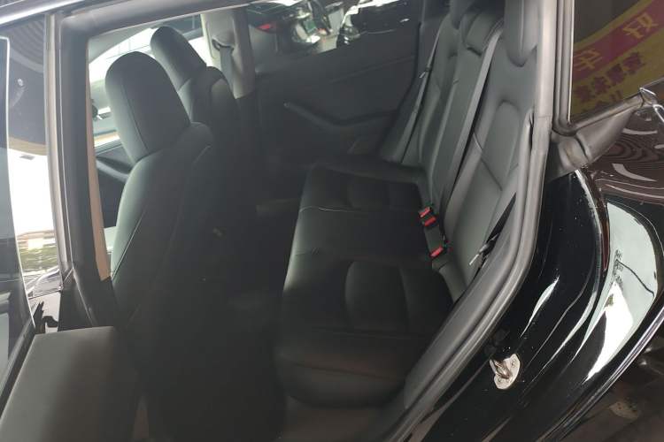 Used Tesla Model 3 2021 Performance High-Performance All-Wheel-Drive Version Left Rear Seat
