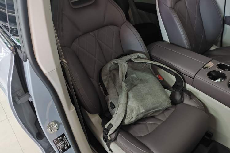 Used Leapmotor C11 2024 Range-Extended 300 Luxury Edition Right Front Seat