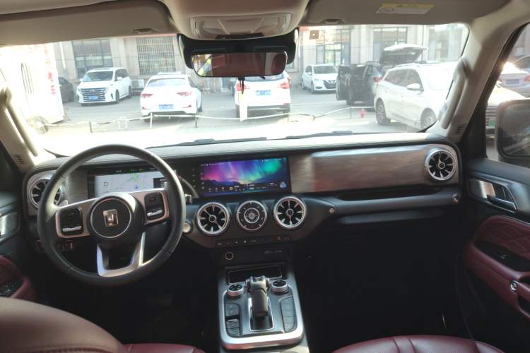 Used Tank 300 2024 2.0T Conqueror