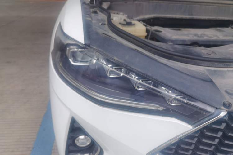 Used Haval F7 2019 2.0T Four-Wheel Drive iJoy China V Standard
