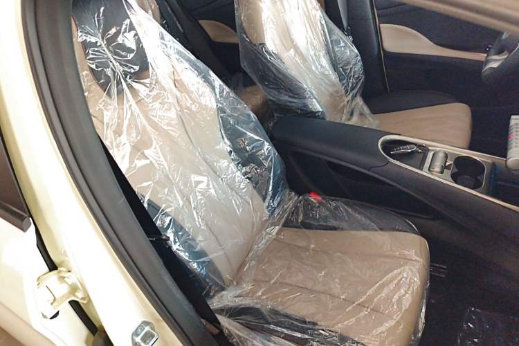 Used BYD Dolphin 2025 420km Free Edition Right Front Seat