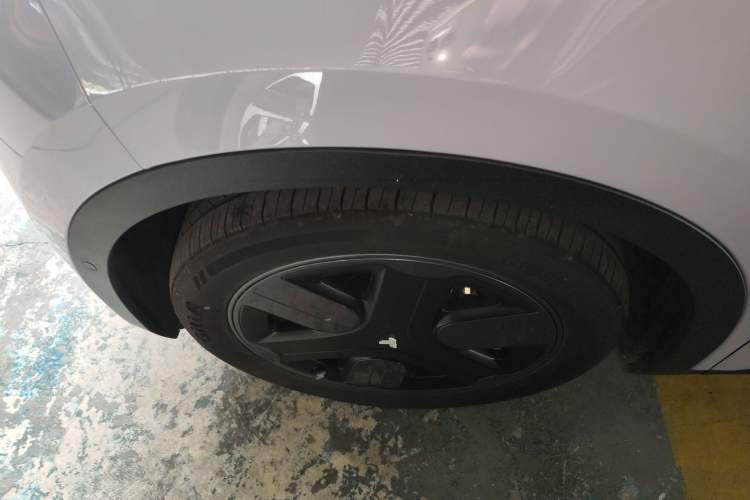 Used firefly firefly 2025 Illuminated Edition
