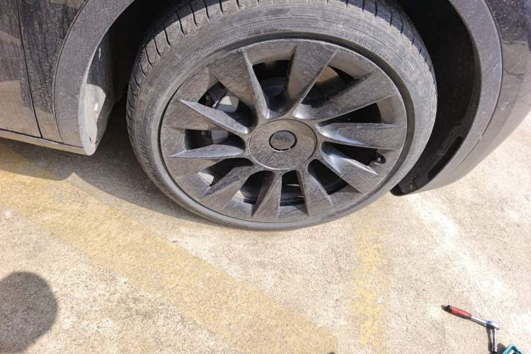 Used Tesla Model Y 2021 Standard Range Rear-Wheel Drive Version