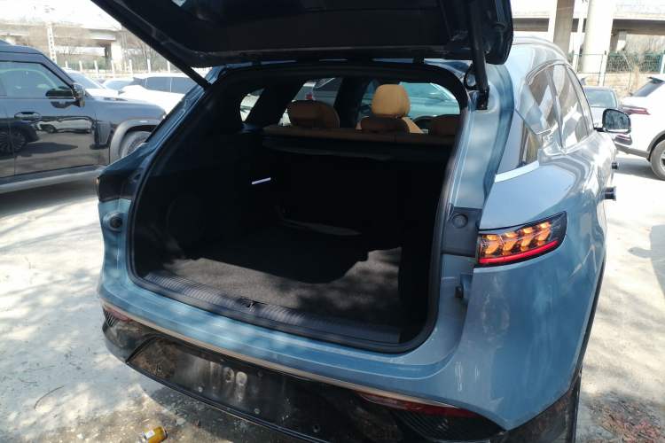 Used VOYAH FREE 2021 Four-Wheel Drive Standard All-Electric Exclusive Luxury Package
