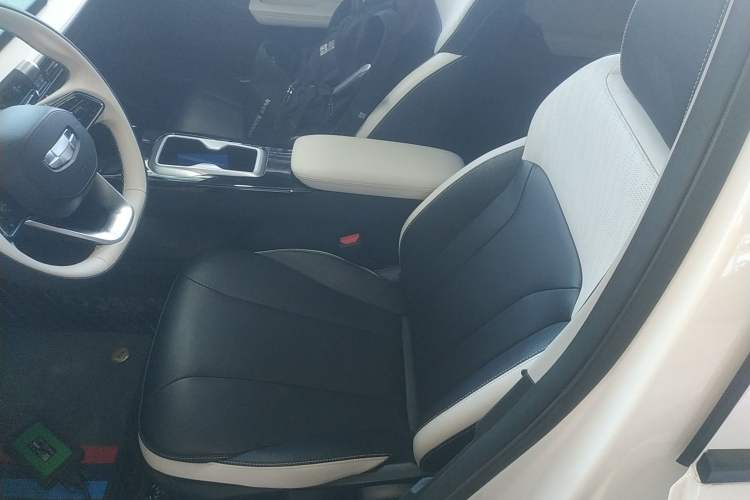 Used Geometry E Firefly 2024 401 km Fluorescent Left Front Seat