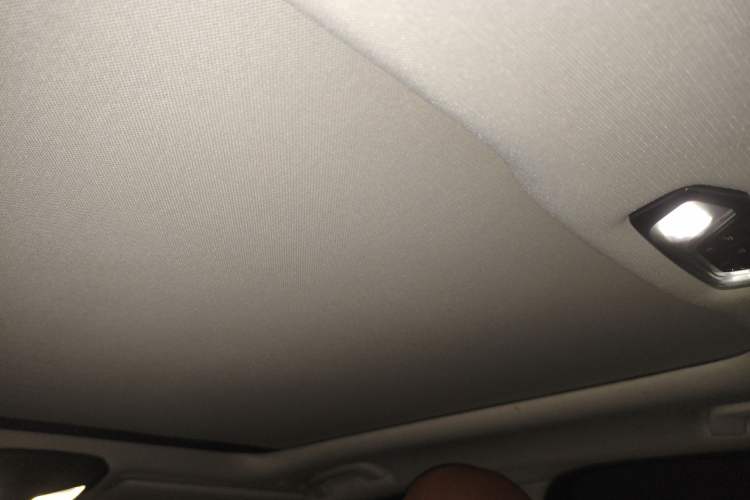 Used BMW 3 Series 2020 320Li M Sport Package Headliner