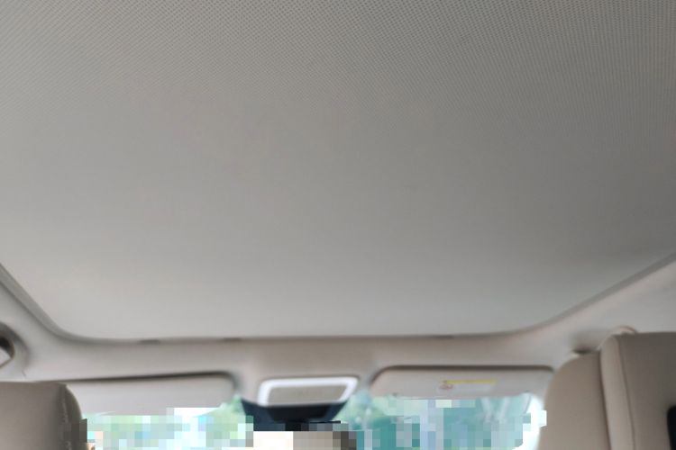 Used Zeekr X 2023 Rear-Drive YOU Edition 4 Seats Headliner