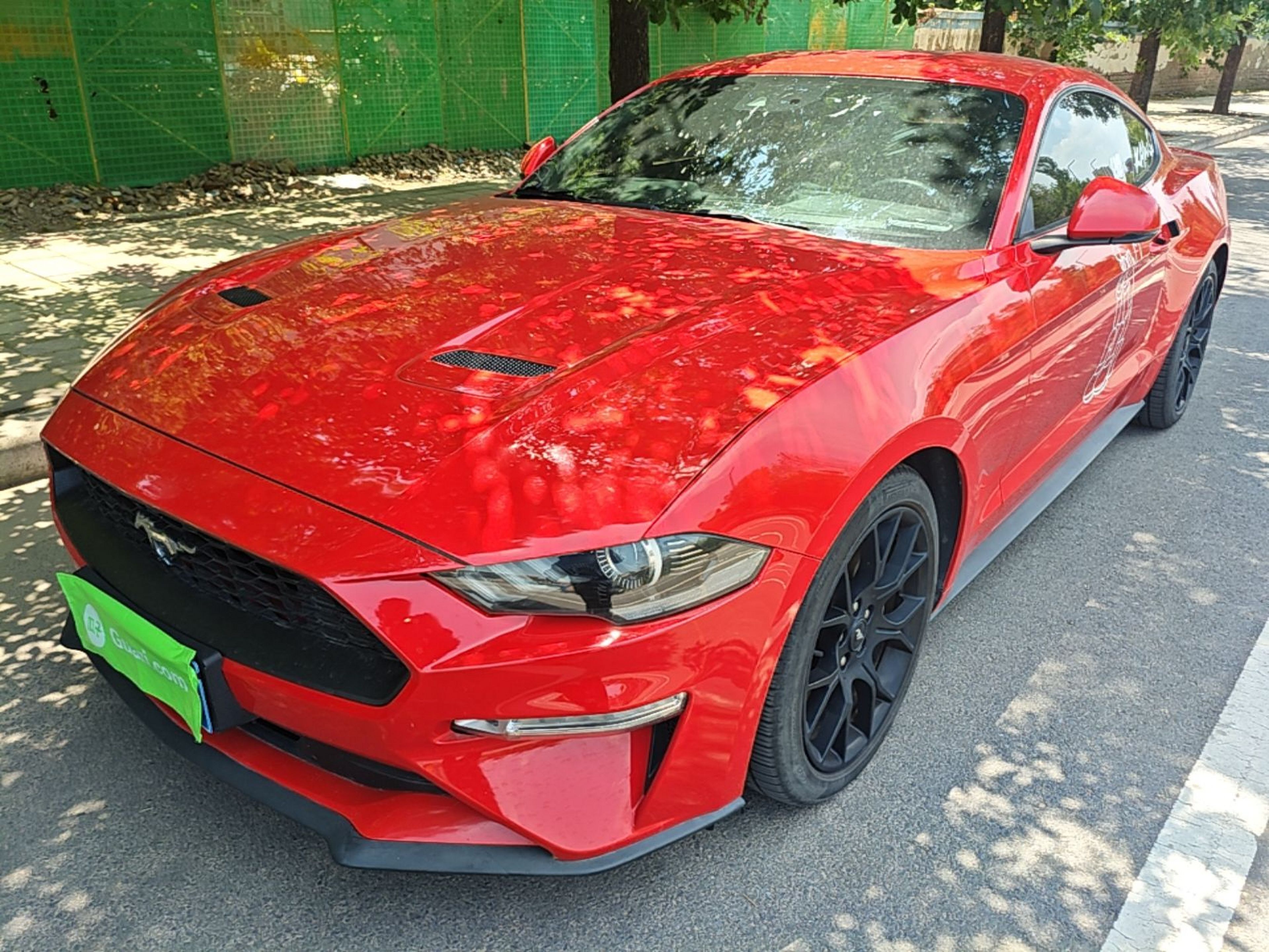 Under Front Bumper