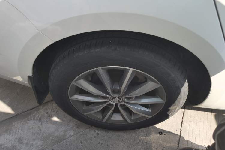 Used Skoda Octavia 2019 TSI230 DSG Smart & Comfort Edition China VI Standard
