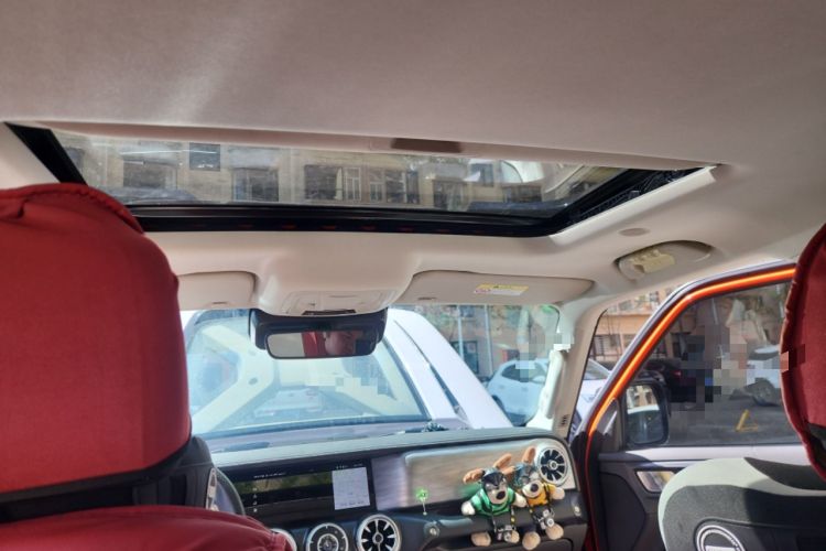 Used Tank 300 2023 City Edition 2.0T—Stylish as Ever Headliner