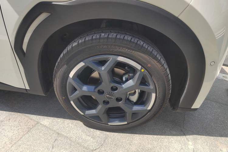 Used BYD Seagull 2025 Smart Drive Version 305 km Freedom Edition