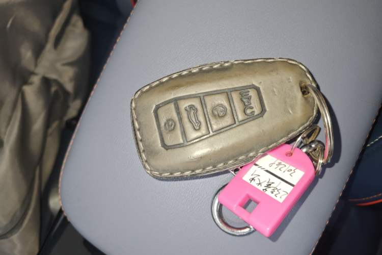 Used Geometry E Firefly 2023 401KM Linglong Tiger 5-Seater Vehicle Key