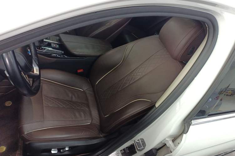 Used BMW 5 Series 2019 530Li Leading Model Luxury Package