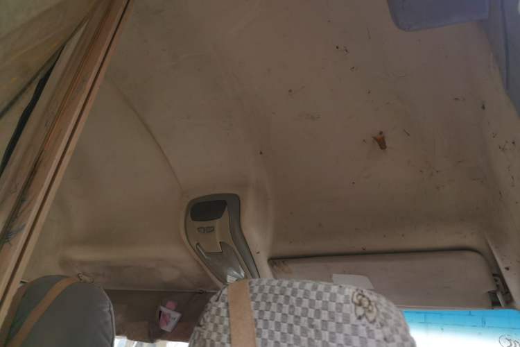 Used Iveco Power Daily  Headliner