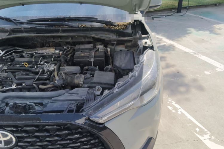 Used Toyota Corolla Cross 2022 2.0L Elite Edition