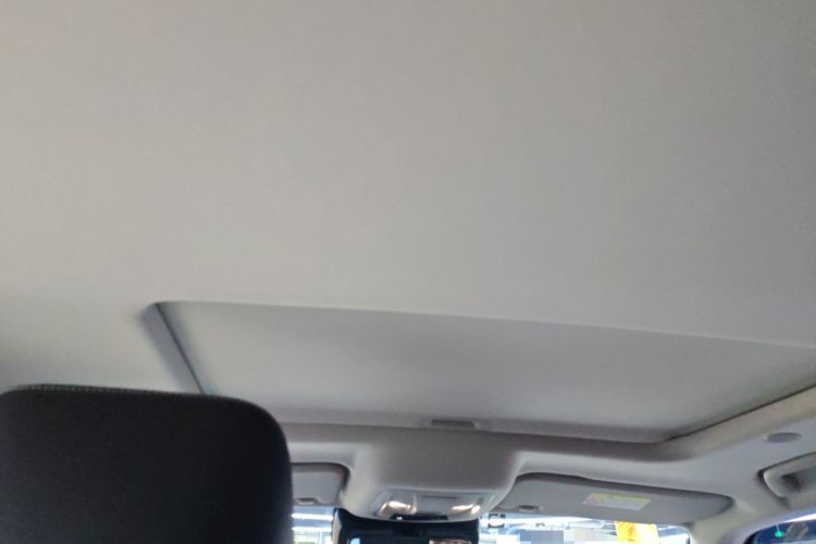 Used Tank 300 2021 City Edition 2.0T—Truly Stylish Headliner