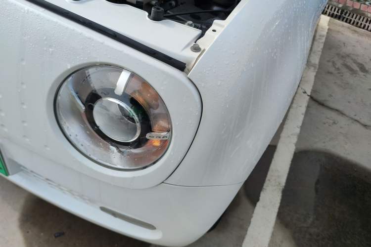 Used ORA Black Cat 2021 351 km Standard Version