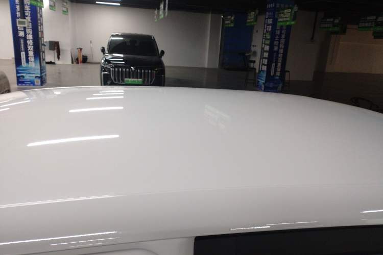 Used Leapmotor T03 2022 Agate Edition Roof