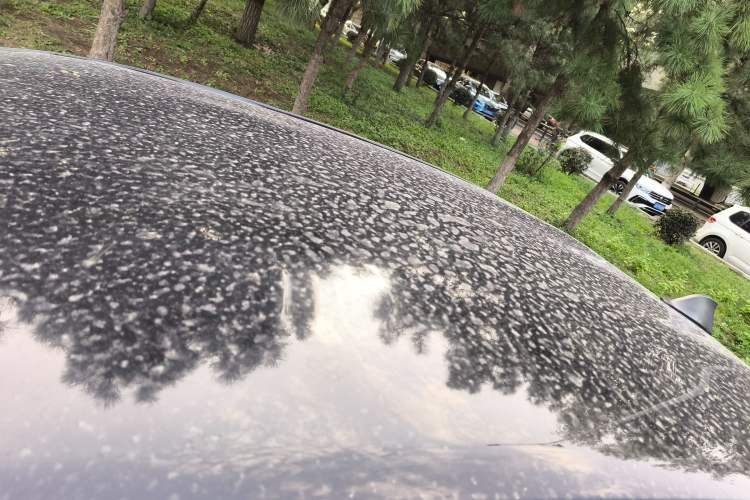 Used Toyota YARiS L Zhi Xiang 2017 1.5E CVT Dynamic Edition Roof