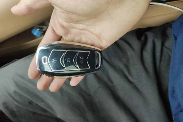 Used Landian E5 PLUS 2025 165 km Long-Range Version PLUS 7-Seater