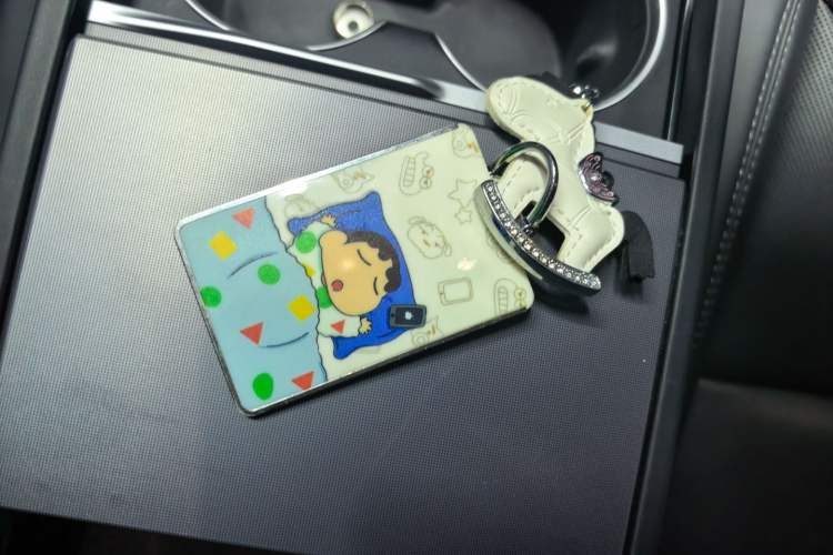 Used Tesla Model 3 2025 Rear-Wheel-Drive Version