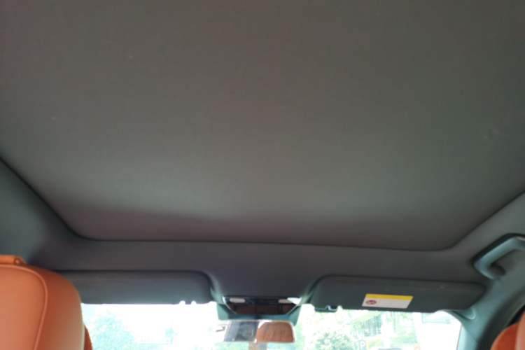 Used Li Auto L6 2024 Pro Model Headliner