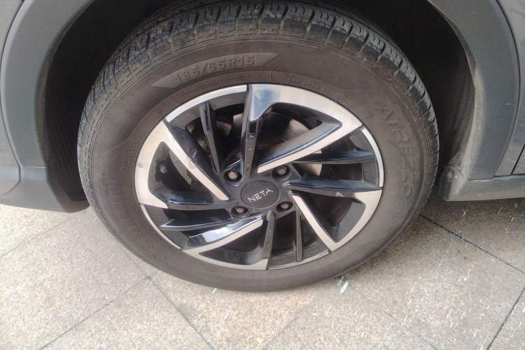 Used NETA V 2021 Long-Range Entertainment Edition Upgrade Model
