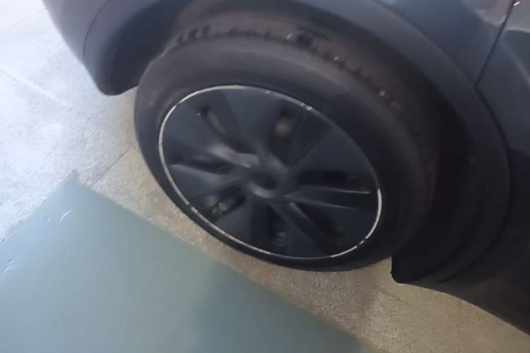 Used Tesla Model Y 2024 Rear-Wheel-Drive Version