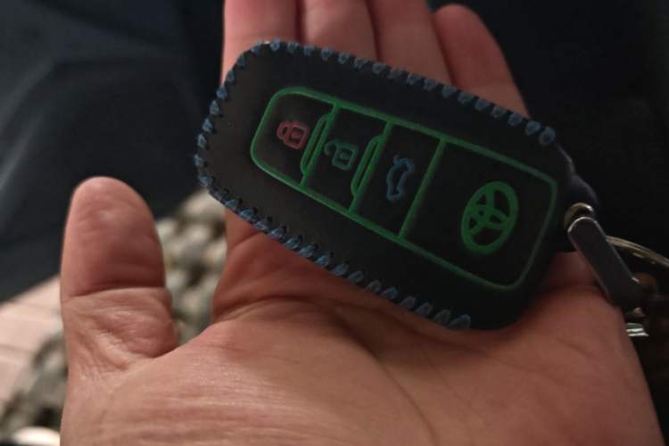 Used Toyota Levin 2019 185T CVT Luxury Edition China VI Standard