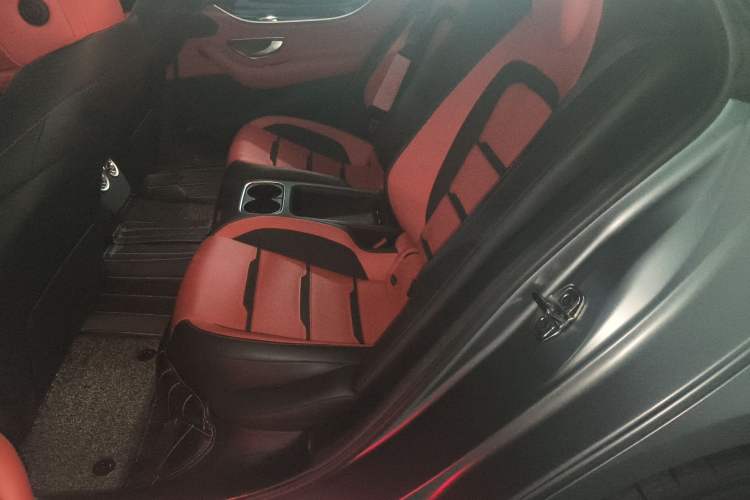 Used Mercedes-Benz AMG GT 2019 AMG GT 50 four-door sports car Left Rear Seat