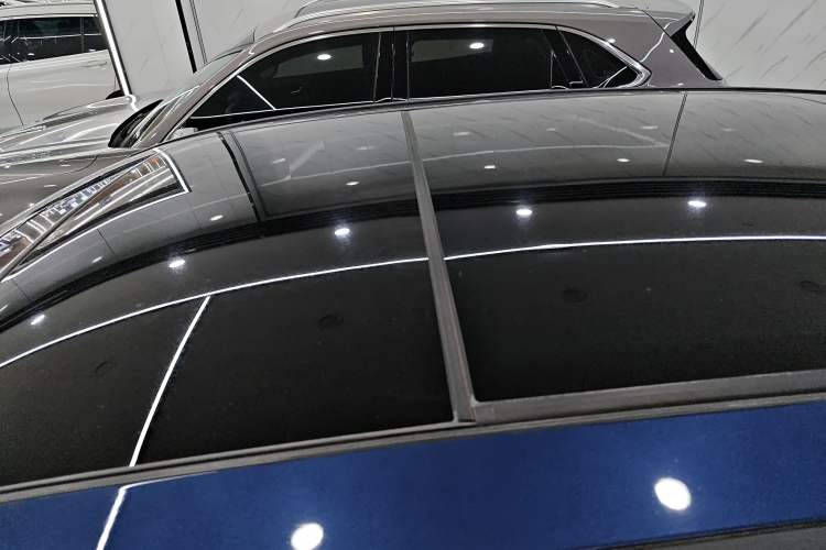 Used BMW iX3 2021 Leading Model Roof